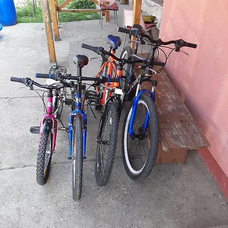 Zuti Leptir * Врдник