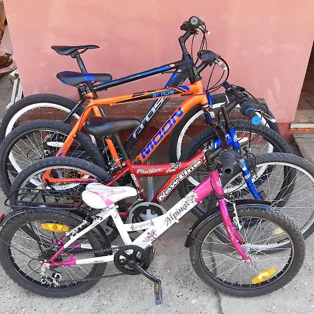 Апартаменты Zuti Leptir