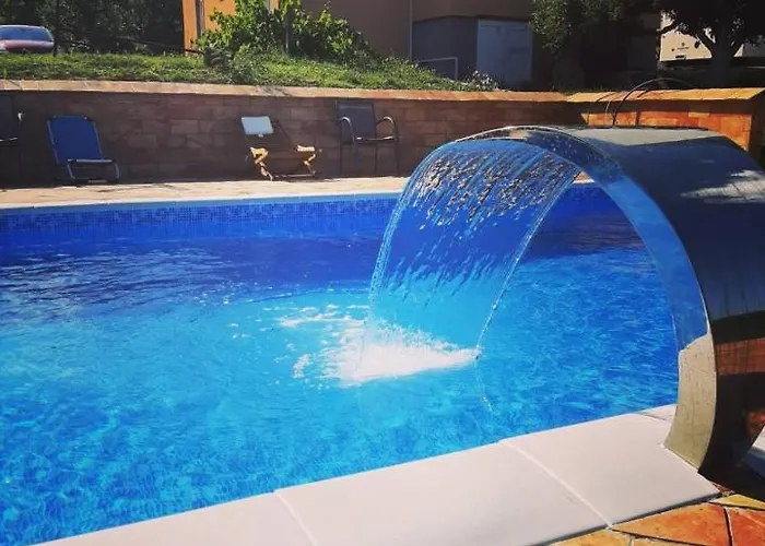 Zuti Leptir * Vrdnik